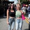 diannapurges